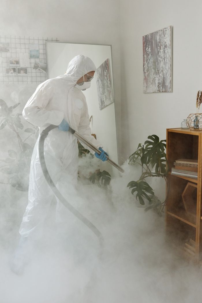 Person in protective suit disinfecting a room with fogging equipment amid indoor plants.